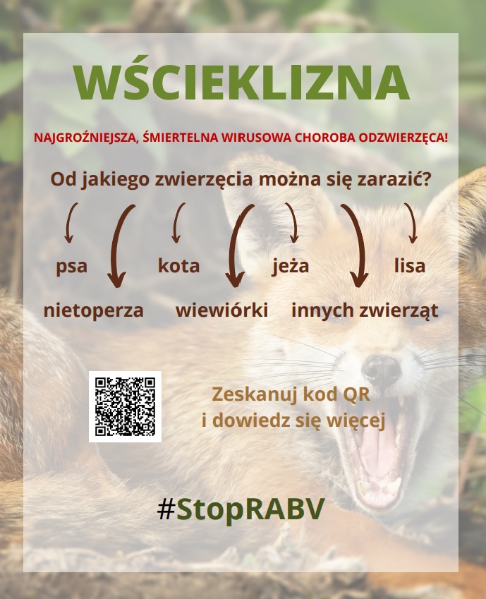 Wścieklizna - Od jakiego zwierzęcia można się zarazić - psa, nietoperza, kota, wiewiórki, jeża, lisa i innych zwierząt żna się zarazić - psa, nietoperza, kota, wiewiórki, jeża, lisa i innych zwierząt
